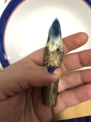 Leccinum duriusculum