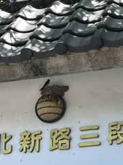 家燕