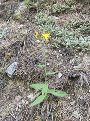 © Antoine MARNAT, some rights reserved (CC-BY)