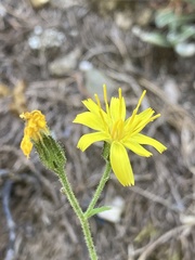 © Antoine MARNAT, some rights reserved (CC-BY)