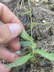 © Antoine MARNAT, some rights reserved (CC-BY)