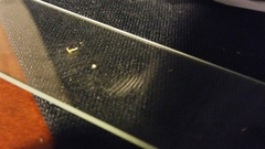 Russula flavisiccans