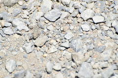 Trimerotropis occidentalis