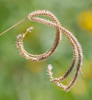 Paraguayan Windmill Grass - Photo (c) Patti A. Edens, some rights reserved (CC BY-NC-ND), uploaded by Patti A. Edens