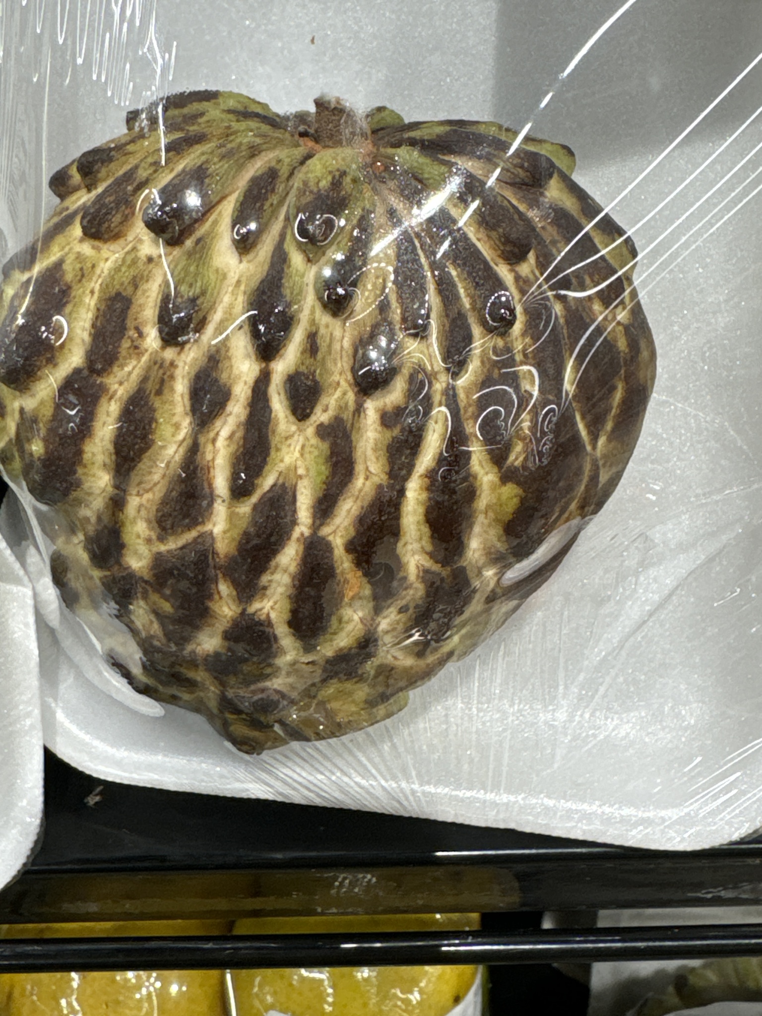 Annona squamosa