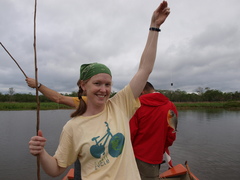 Pygocentrus nattereri