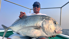 Giant trevally