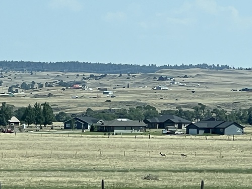 iNaturalist observation 2024-08-15