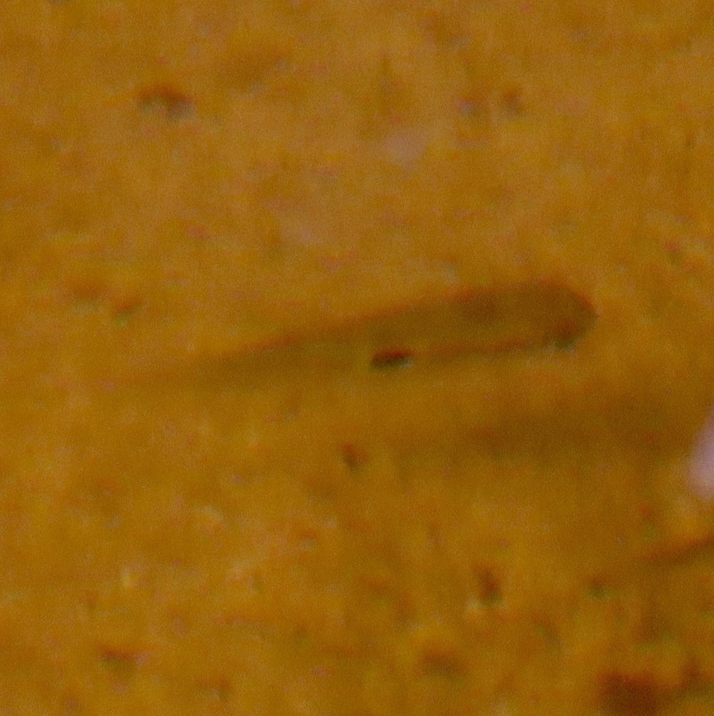 Happy Cichlid