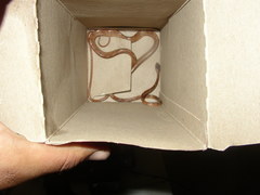 Imantodes gemmistratus