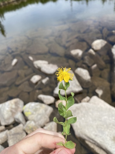 Lava Ridge National Recreation Trail