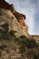 Merwilla plumbea