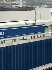 Nycticorax nycticorax