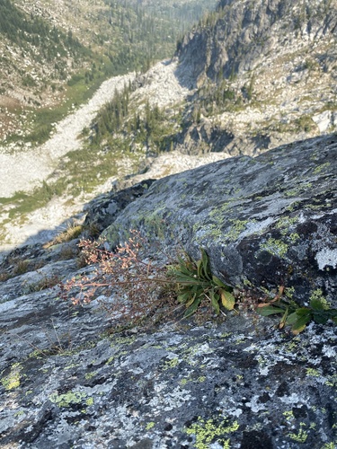 Upper Hazard/Hard Creek Basin Trail