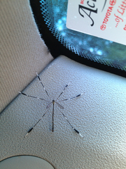 Bittacomorpha clavipes