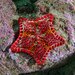 Tessellated Sea Star - Photo (c) Luis P. B., some rights reserved (CC BY-NC), uploaded by Luis P. B.