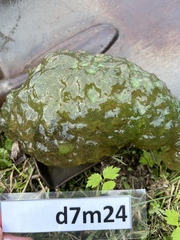 Image 9