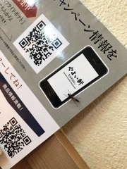 Myrmarachne inermichelis