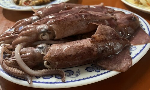 Japanese Flying Squid