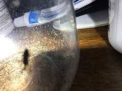 Allonemobius fasciatus