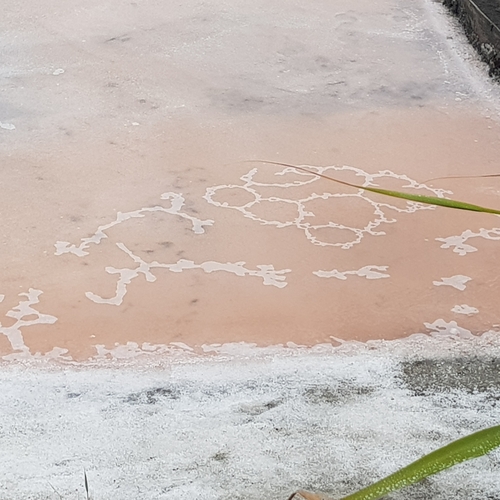 Foto de Arqueia