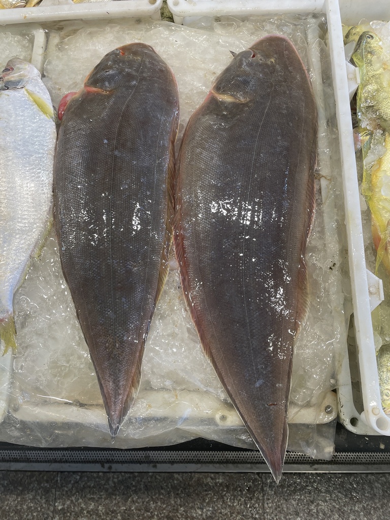 Half-Smooth Tongue Sole