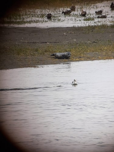 (c) Sam Hain, some rights reserved (CC BY-NC)
