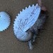 Knobby Argonaut - Photo (c) Jack Warden, some rights reserved (CC BY-NC), uploaded by Jack Warden