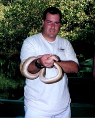 Corallus ruschenbergerii