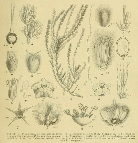 Panderia