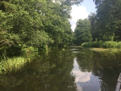 Onychogomphus forcipatus