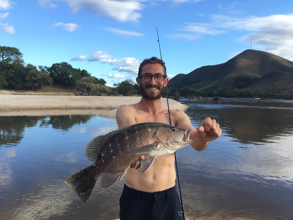 Guinea Snapper