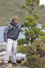 Athrotaxis selaginoides