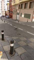 Larus
