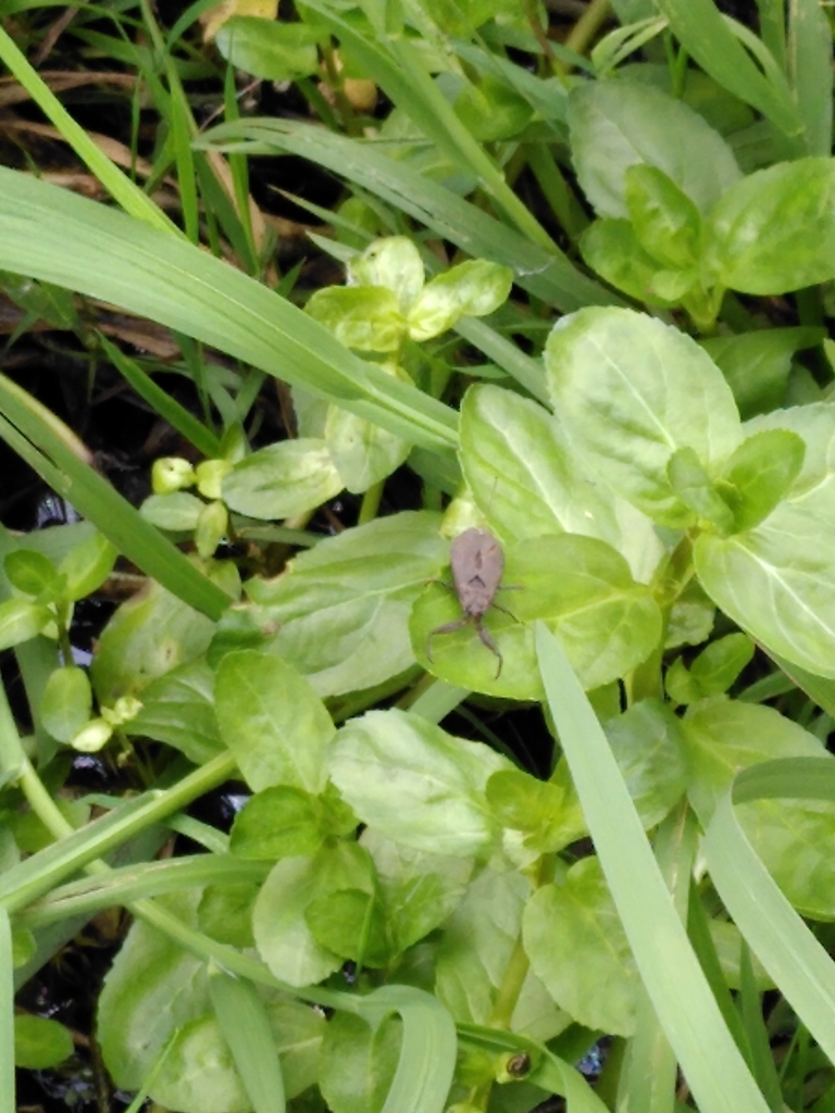 2 5 Zimmer Wohnung Kiel Elmschenhagen