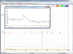Pipistrellus pipistrellus