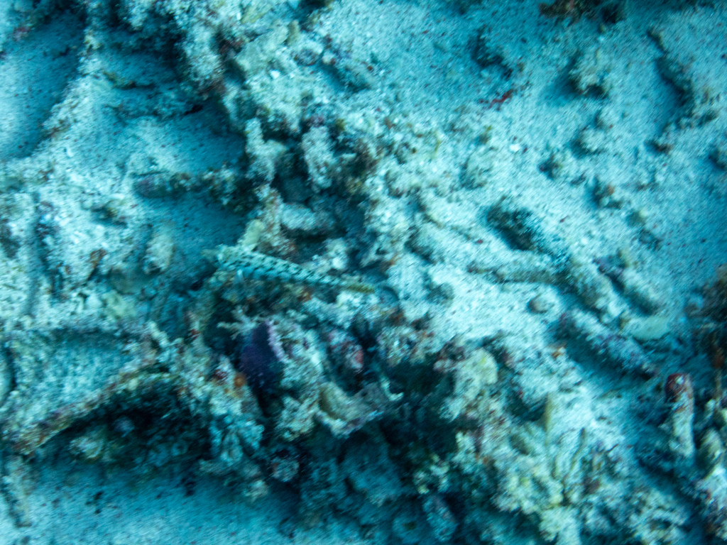 Cylindrical sandperch