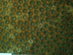 Stephanocoenia intersepta