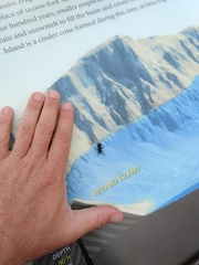 Neanthophylax tenebrosus