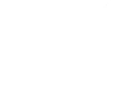 Plurinerves