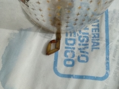 Centruroides tecomanus