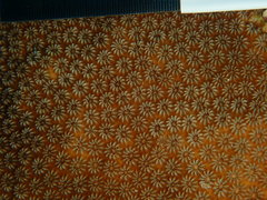 Stephanocoenia intersepta