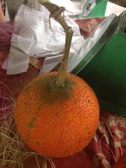 Momordica cochinchinensis