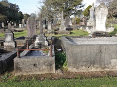 Miyagia pseudosphaeria