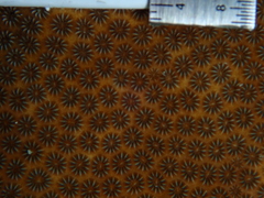 Stephanocoenia intersepta