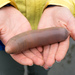 Fat Innkeeper Worm - Photo (c) Corinne Fuchs, some rights reserved (CC BY-NC-ND)
