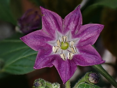 © Christian Schwarz, some rights reserved (CC-BY-NC)