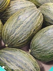 Cucumis melo