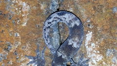 Dravidogecko