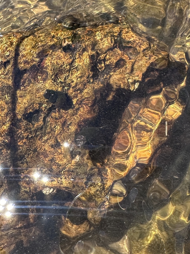 Topaz Juga